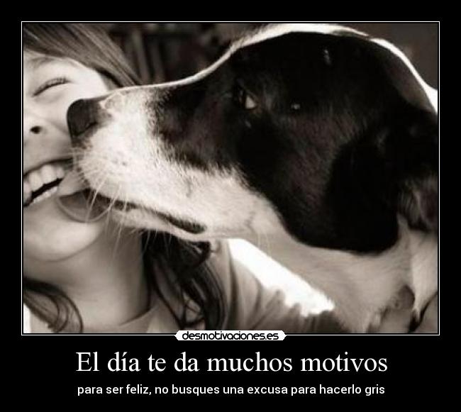 carteles dia muchos motivos desmotivaciones