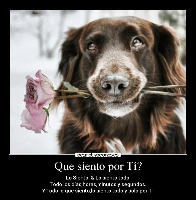 Que siento por Tí? -