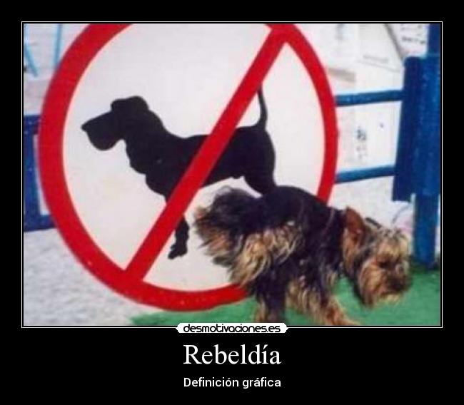 Rebeldía - Definición gráfica