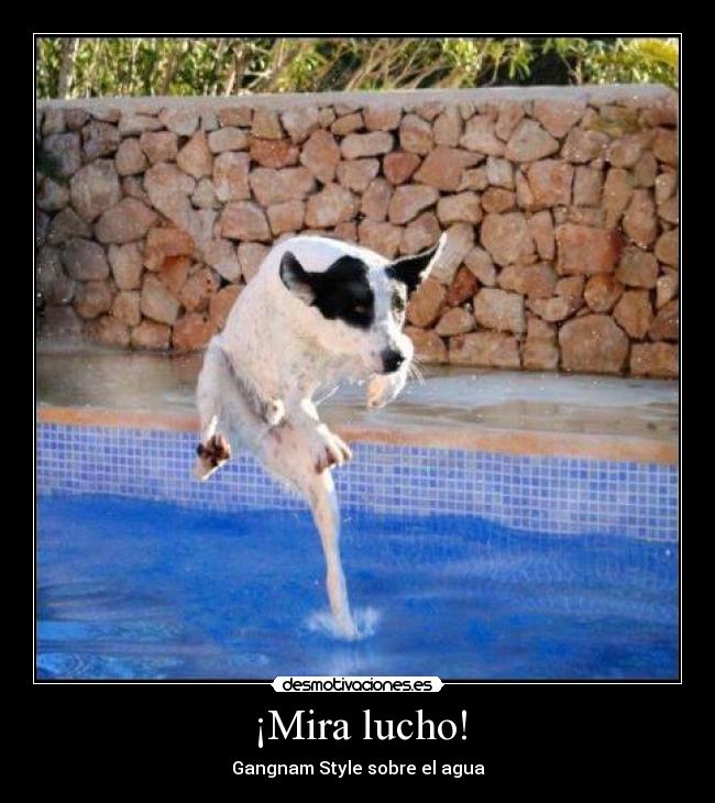 ¡Mira lucho! - Gangnam Style sobre el agua