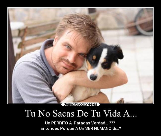 carteles vida joseph rodriguez kroeber desmotivaciones