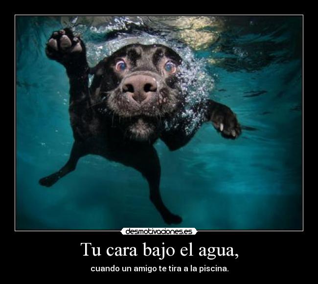 Tu cara bajo el agua, -