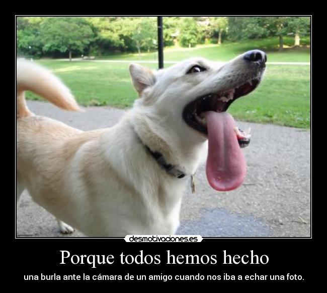 Porque todos hemos hecho -