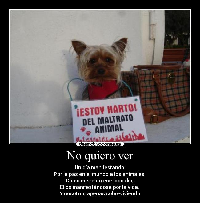 No quiero ver - Un día manifestando
Por la paz en el mundo a los animales.
Cómo me reiría ese loco día,
Ellos manifestándose por la vida.
Y nosotros apenas sobreviviendo
