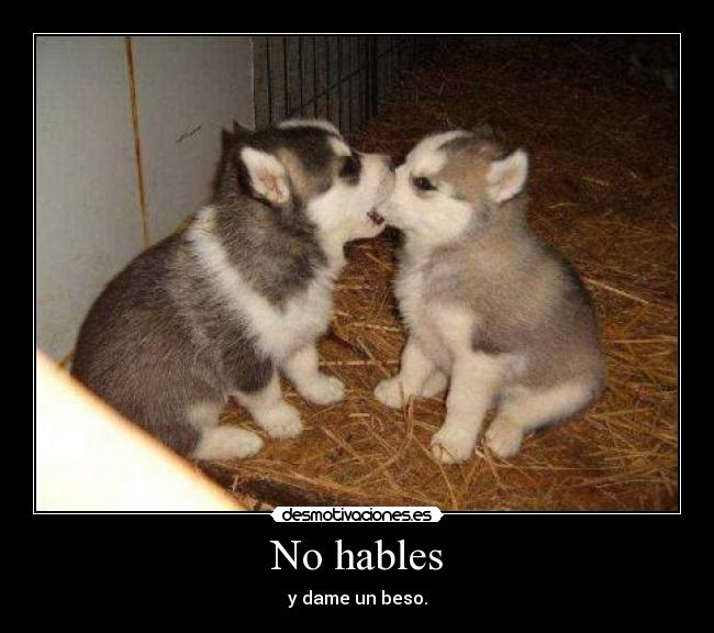 No hables - y dame un beso.