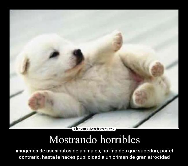 carteles mostrando horribles desmotivaciones