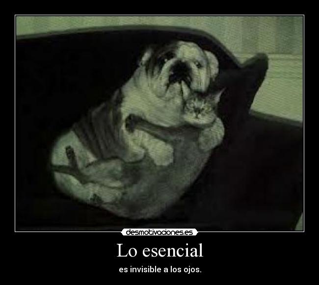 Lo esencial - 