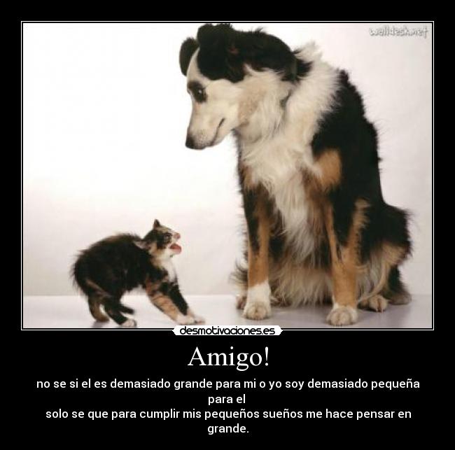 Amigo! - 