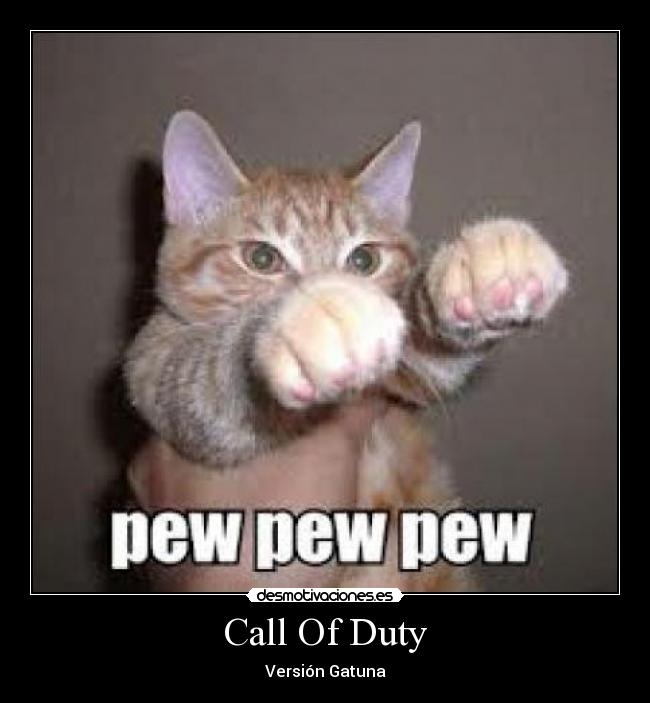 Call Of Duty - Versión Gatuna