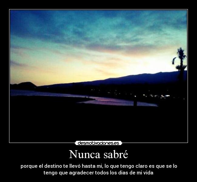 Nunca sabré - porque el destino te llevó hasta mi, lo que tengo claro es que se lo
tengo que agradecer todos los dias de mi vida