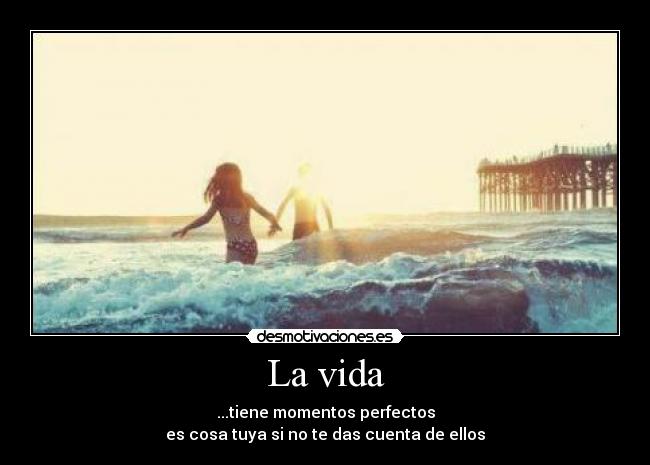 La vida - ...tiene momentos perfectos
es cosa tuya si no te das cuenta de ellos
