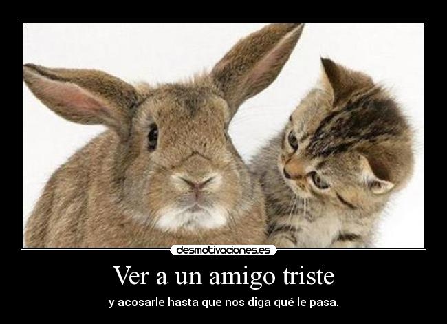 Ver a un amigo triste - y acosarle hasta que nos diga qué le pasa.