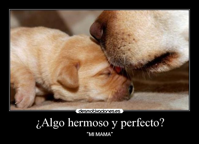 ¿Algo hermoso y perfecto? -