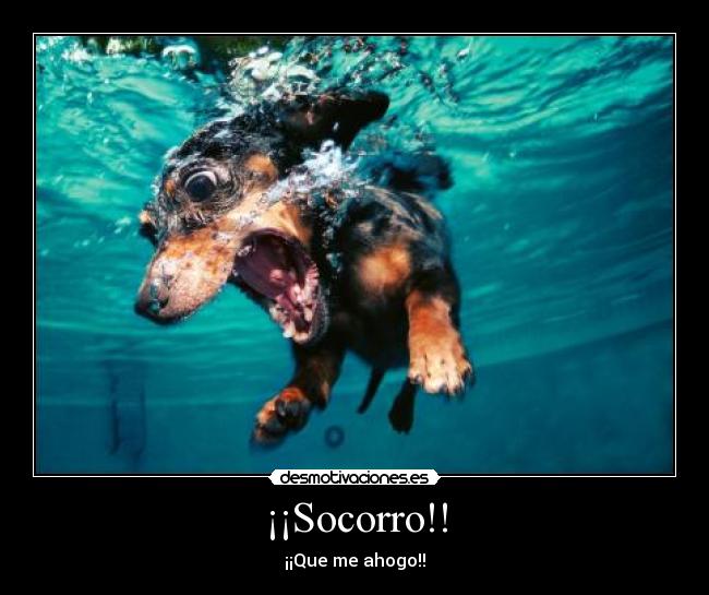 ¡¡Socorro!! -