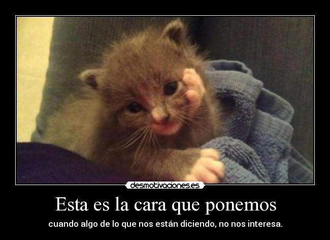 Esta es la cara que ponemos - cuando algo de lo que nos están diciendo, no nos interesa.