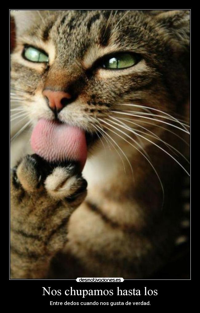 carteles andres92 delicioso desmotivaciones