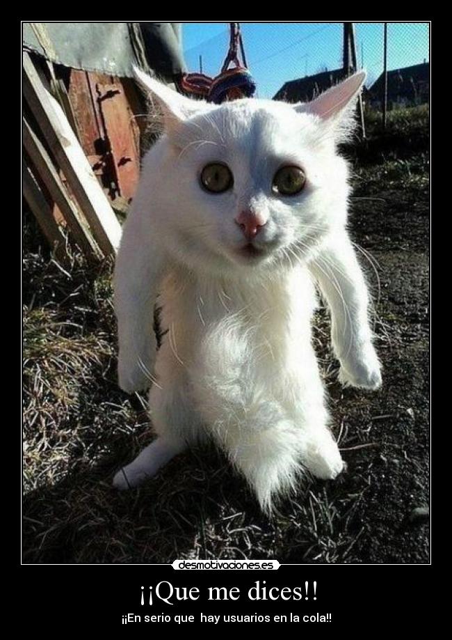 ¡¡Que me dices!! - 