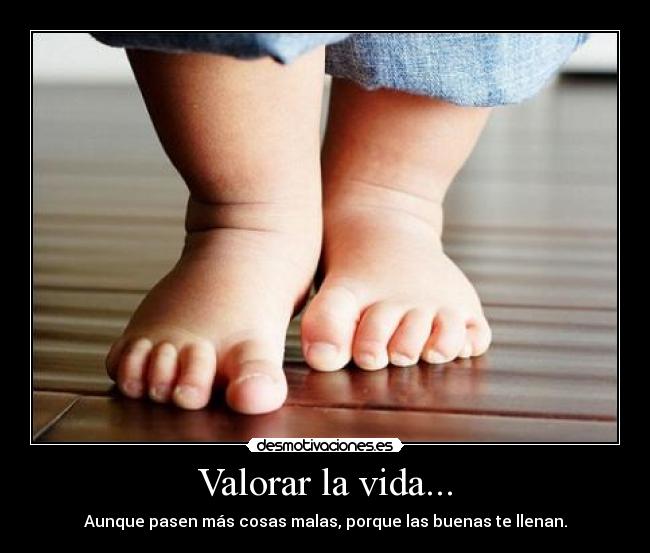 Valorar la vida... -