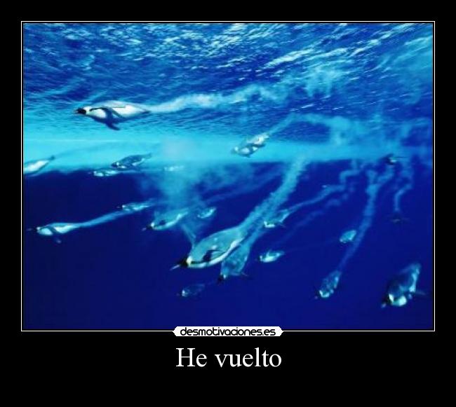 He vuelto - 