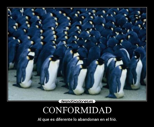 carteles pinguinos desmotivaciones