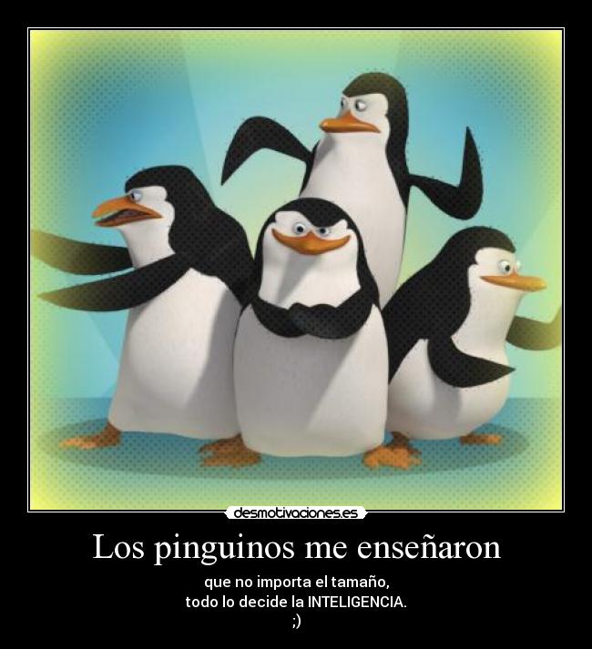 carteles animal pinguinos macho inteligencia comic madagascar tamano desmotivaciones