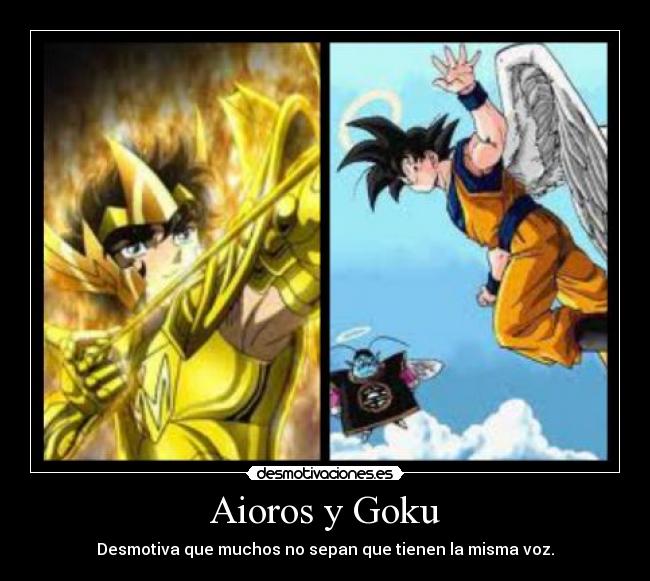 Aioros y Goku - 