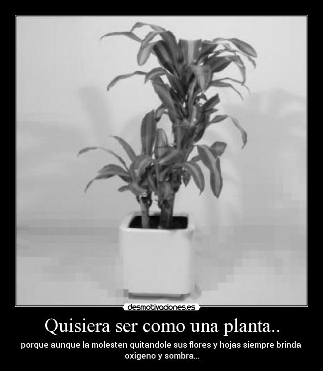 Quisiera ser como una planta.. - porque aunque la molesten quitandole sus flores y hojas siempre brinda 
oxigeno y sombra...