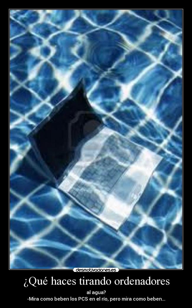 ¿Qué haces tirando ordenadores - al agua?
-Mira como beben los PCS en el río, pero mira como beben...