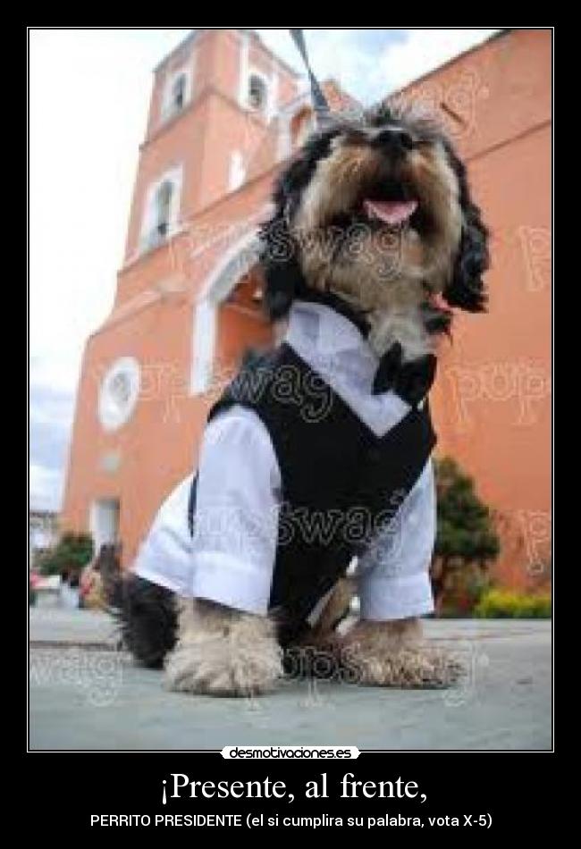 ¡Presente, al frente, - PERRITO PRESIDENTE (el si cumplira su palabra, vota X-5)