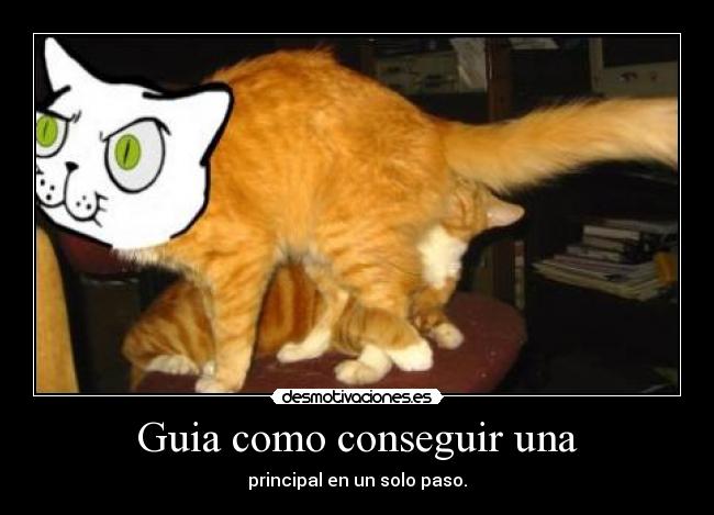 Guia como conseguir una - principal en un solo paso.