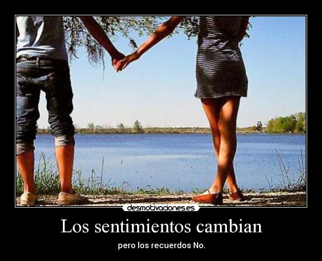 carteles sentimientos bellaflor desmotivaciones