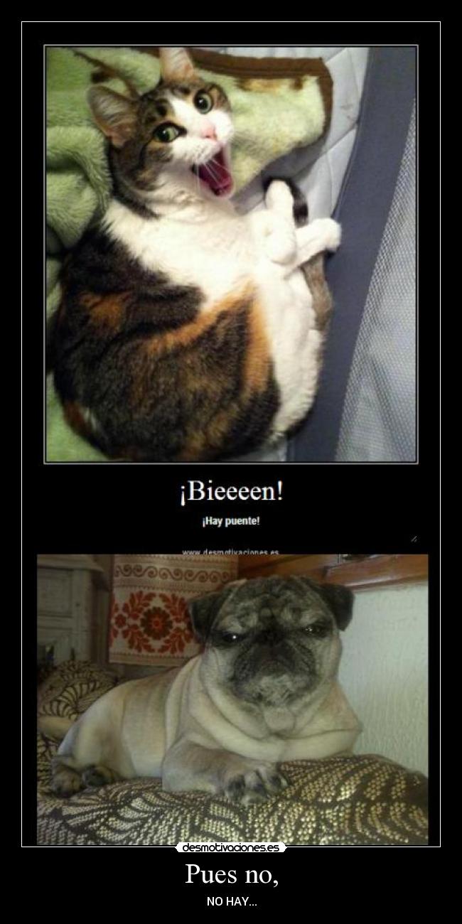 Pues no, - NO HAY...