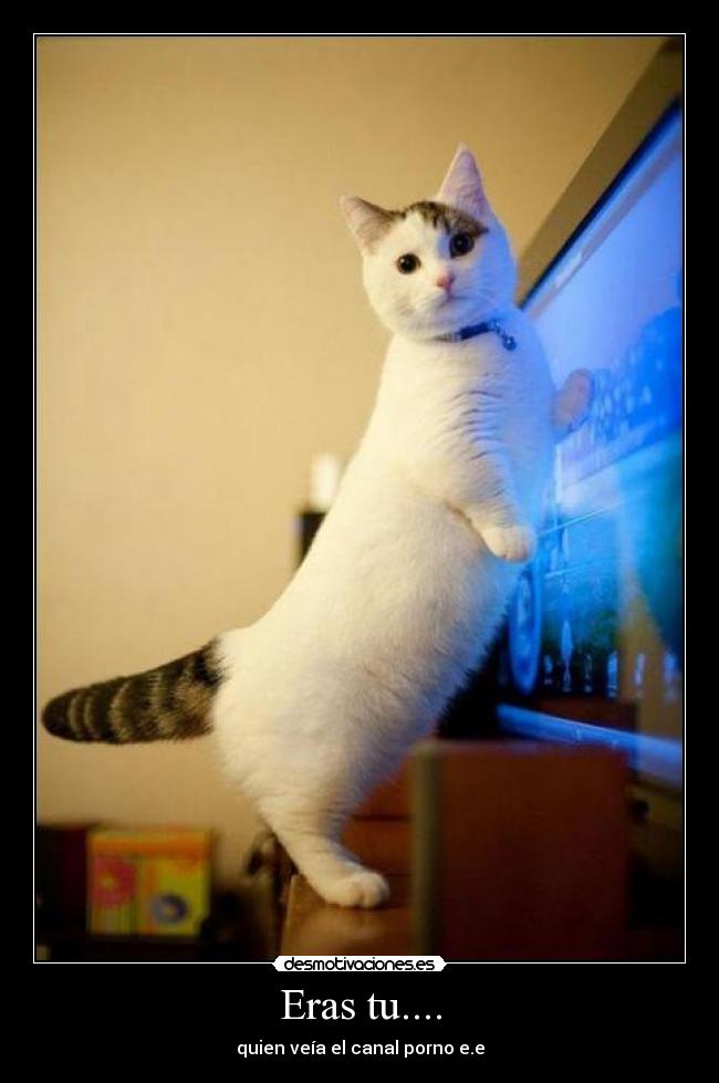 carteles mel desmotivaciones