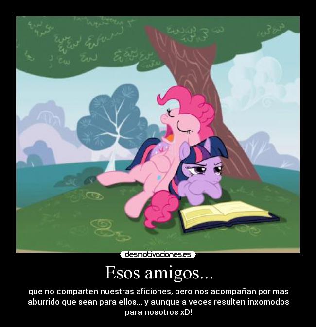 Esos amigos... - que no comparten nuestras aficiones, pero nos acompañan por mas
aburrido que sean para ellos... y aunque a veces resulten inxomodos
para nosotros xD!