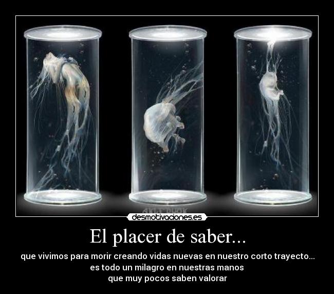 El placer de saber... -