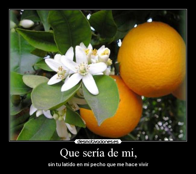 Que sería de mi, - sin tu latido en mi pecho que me hace vivir