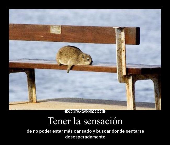 Tener la sensación -