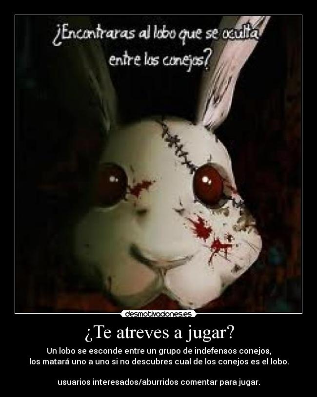 carteles enamoradiza crazyclub icequeenbvb estoy aburrida asi que tome idea kash sorry desmotivaciones