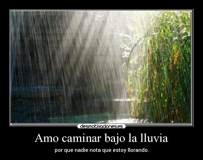 Amo caminar bajo la lluvia - 