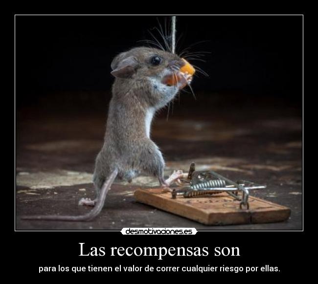 carteles rapyeah jracioso raton desmotivaciones