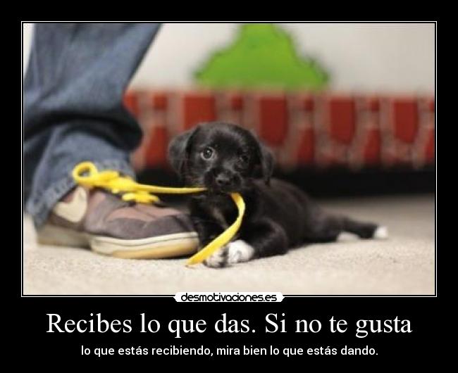 Recibes lo que das. Si no te gusta - lo que estás recibiendo, mira bien lo que estás dando.