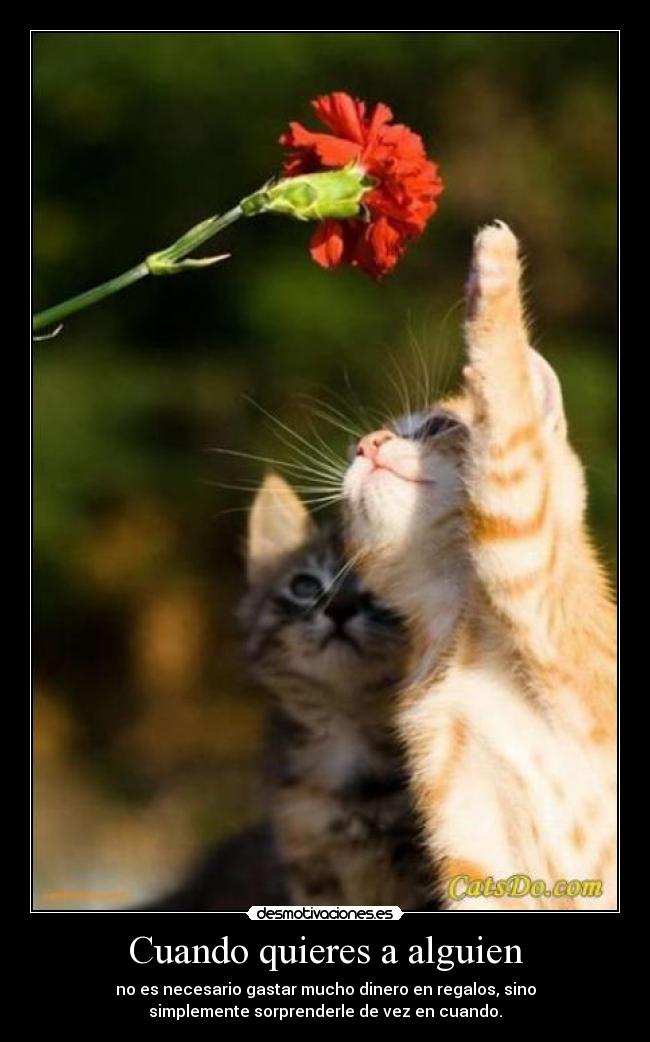 Cuando quieres a alguien - no es necesario gastar mucho dinero en regalos, sino
simplemente sorprenderle de vez en cuando.
