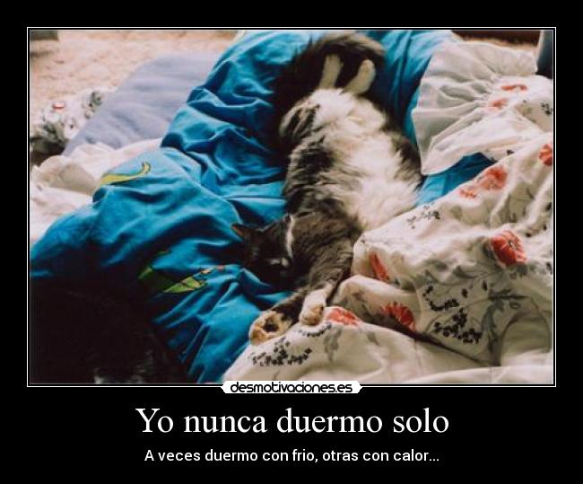 Yo nunca duermo solo - 