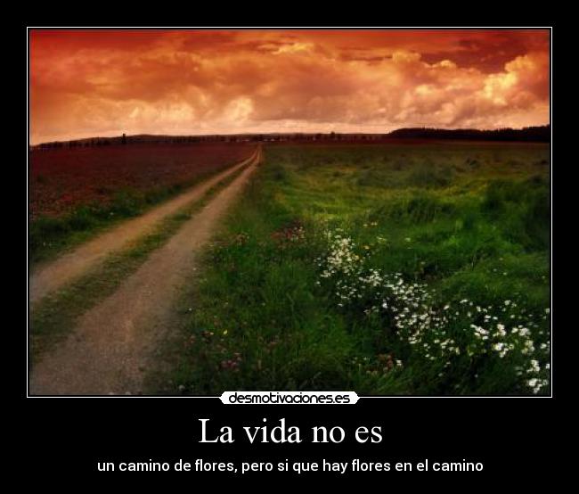 La vida no es - 