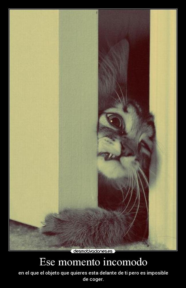Ese momento incomodo - en el que el objeto que quieres esta delante de ti pero es imposible de coger.