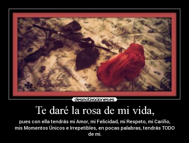 carteles vida amor desmotivaciones