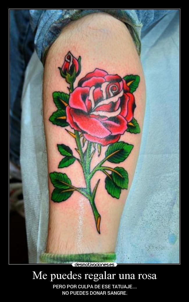 Me puedes regalar una rosa - 