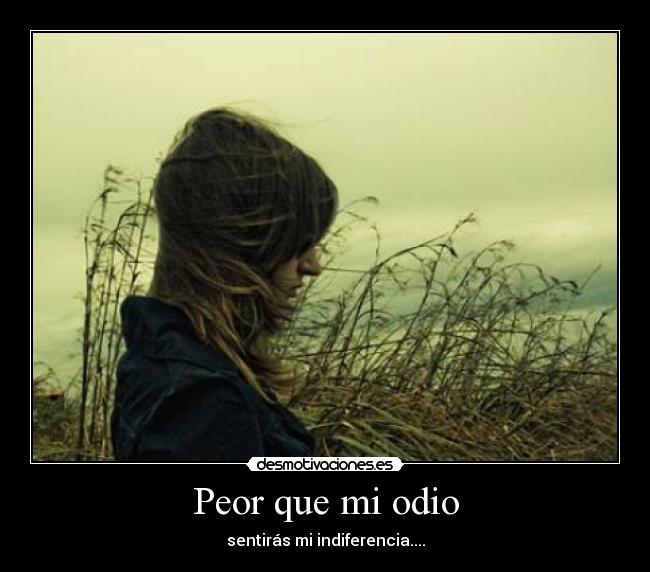 carteles odio indiferencia desmotivaciones