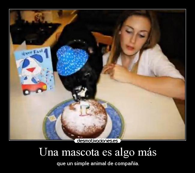Una mascota es algo más - que un simple animal de compañía.