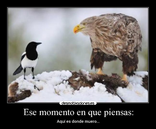 Ese momento en que piensas: - 